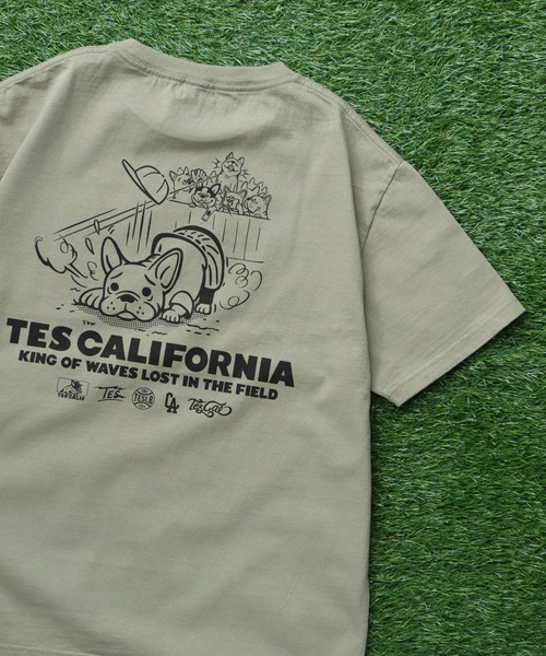 The Endless Summer（エンドレスサマー）の「TES SURF PRO.BALL ROOKIE T-SHIRT / Tシャツ（Tシャツ/カットソー・メンズ・アイボリー/ホワイト/グリーン系その他3・SMALL/MEDIUM/LARGE/X-LARGE）」の3枚目の写真