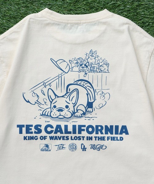The Endless Summer（エンドレスサマー）の「TES SURF PRO.BALL ROOKIE T-SHIRT / Tシャツ（Tシャツ/カットソー・メンズ・アイボリー/ホワイト/グリーン系その他3・SMALL/MEDIUM/LARGE/X-LARGE）」の12枚目の写真