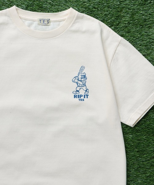 The Endless Summer（エンドレスサマー）の「TES SURF PRO.BALL ROOKIE T-SHIRT / Tシャツ（Tシャツ/カットソー・メンズ・アイボリー/ホワイト/グリーン系その他3・SMALL/MEDIUM/LARGE/X-LARGE）」の14枚目の写真