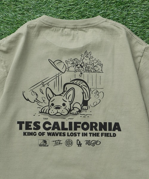 The Endless Summer（エンドレスサマー）の「TES SURF PRO.BALL ROOKIE T-SHIRT / Tシャツ（Tシャツ/カットソー・メンズ・アイボリー/ホワイト/グリーン系その他3・SMALL/MEDIUM/LARGE/X-LARGE）」の16枚目の写真