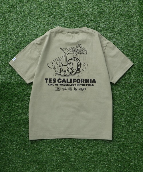 The Endless Summer（エンドレスサマー）の「TES SURF PRO.BALL ROOKIE T-SHIRT / Tシャツ（Tシャツ/カットソー・メンズ・アイボリー/ホワイト/グリーン系その他3・SMALL/MEDIUM/LARGE/X-LARGE）」の17枚目の写真