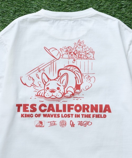 The Endless Summer（エンドレスサマー）の「TES SURF PRO.BALL ROOKIE T-SHIRT / Tシャツ（Tシャツ/カットソー・メンズ・アイボリー/ホワイト/グリーン系その他3・SMALL/MEDIUM/LARGE/X-LARGE）」の8枚目の写真