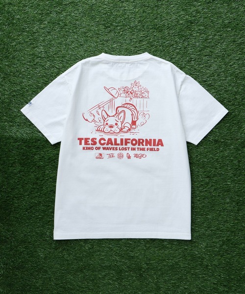 The Endless Summer（エンドレスサマー）の「TES SURF PRO.BALL ROOKIE T-SHIRT / Tシャツ（Tシャツ/カットソー・メンズ・アイボリー/ホワイト/グリーン系その他3・SMALL/MEDIUM/LARGE/X-LARGE）」の9枚目の写真