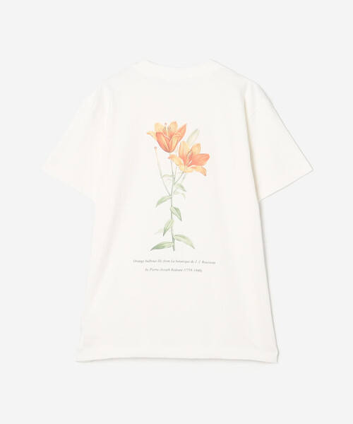 Bshop(ビショップ)の「History of Art | プリントTシャツ FLOWER WOMEN(Tシャツ/カットソー・レディース・ホワイト系その他・S)」の3枚目の写真