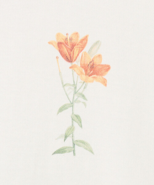 Bshop(ビショップ)の「History of Art | プリントTシャツ FLOWER WOMEN(Tシャツ/カットソー・レディース・ホワイト系その他・S)」の7枚目の写真