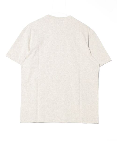 REPLAY(リプレイ)の「リラックスフィット HAWAIANパッチプリントTシャツ(Tシャツ/カットソー・メンズ・ミント/ミックスグレー・LARGE/X-LARGE/SMALL/MEDIUM)」の8枚目の写真