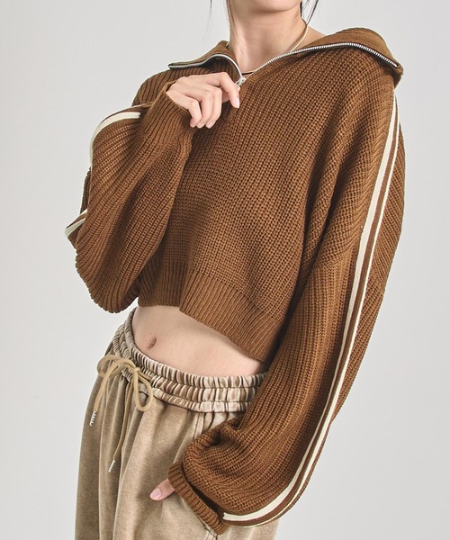 ANAP(アナップ)の「ハーフジップ ライン デザイン ニット トップス(ニット/セーター・レディース・ライトブルー/ブラウン/グレー・F)」の1枚目の写真