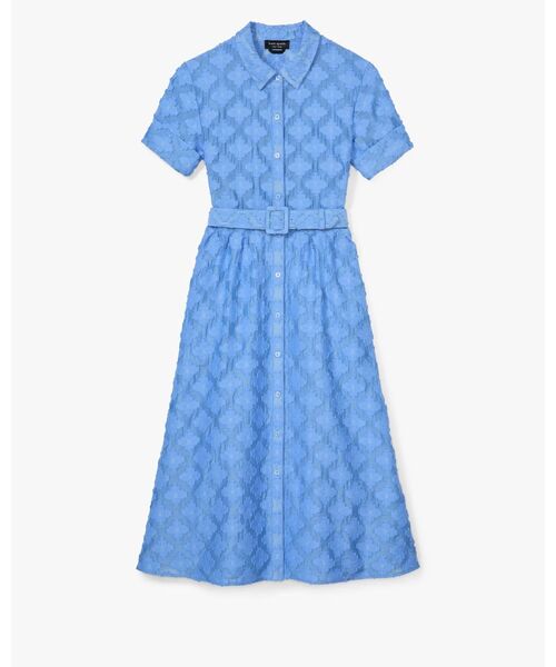 kate spade new york（ケイトスペード ニューヨーク）の「スワンプ