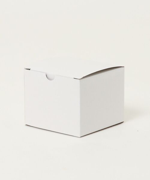 SKAGEN（スカーゲン）の「スカーゲン 腕時計 レディース アナログ ステンレス SKW3176（アナログ腕時計・レディース・マルチ・FREE）」の10枚目の写真