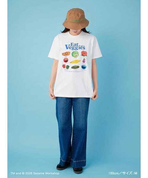 SESAME STREET(セサミストリート)の「【UNISEX】プリントTシャツ(PICNIC)(Tシャツ/カットソー・レディース・ブルー/ホワイト/ブラウン・M/L)」の5枚目の写真