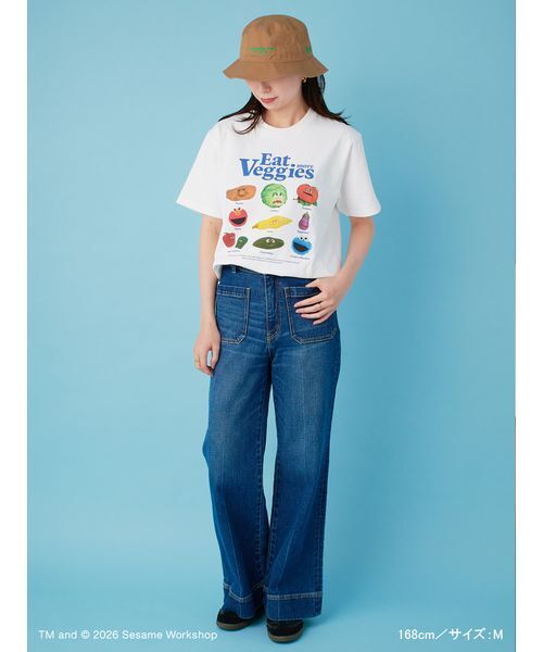 SESAME STREET(セサミストリート)の「【UNISEX】プリントTシャツ(PICNIC)(Tシャツ/カットソー・レディース・ブルー/ホワイト/ブラウン・M/L)」の9枚目の写真