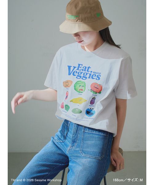 SESAME STREET(セサミストリート)の「【UNISEX】プリントTシャツ(PICNIC)(Tシャツ/カットソー・レディース・ブルー/ホワイト/ブラウン・M/L)」の11枚目の写真