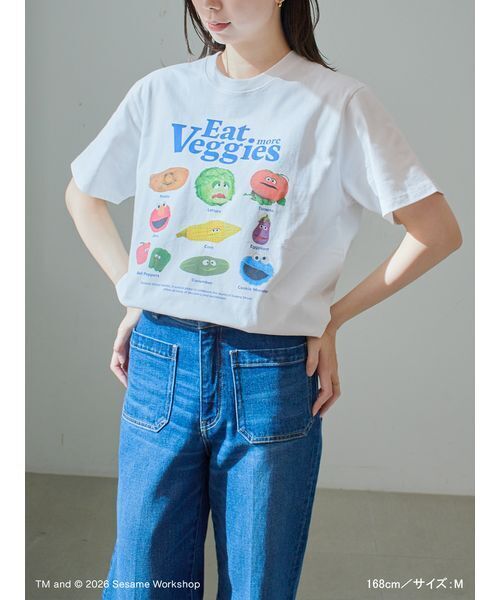 SESAME STREET(セサミストリート)の「【UNISEX】プリントTシャツ(PICNIC)(Tシャツ/カットソー・レディース・ブルー/ホワイト/ブラウン・M/L)」の14枚目の写真