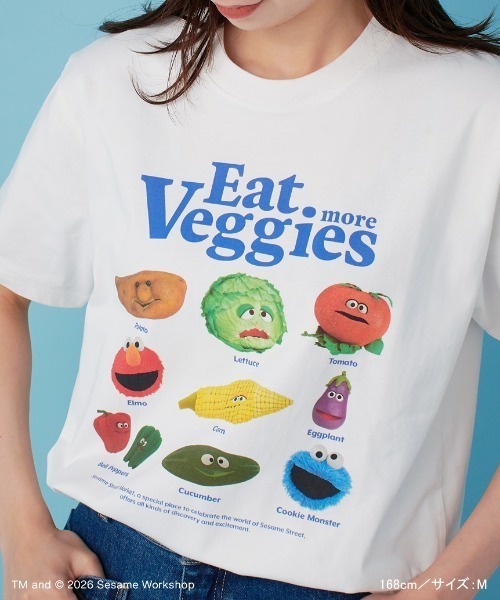 SESAME STREET（セサミストリート）の「【UNISEX】プリントTシャツ（PICNIC）（Tシャツ/カットソー・レディース・ブルー/ホワイト/ブラウン・M/L）」の16枚目の写真
