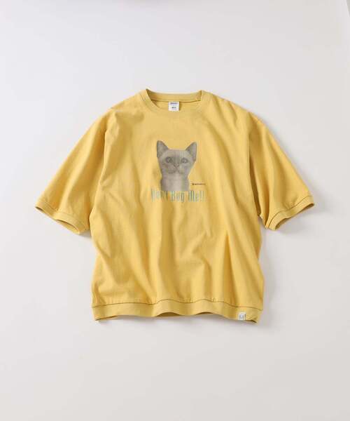 B.C STOCK(ベーセーストック)の「DOG&CAT アソート ハーフスリーブ Tシャツ(Tシャツ/カットソー・メンズ・ホワイト/ネイビー/レッド/イエロー/アイボリー・FREE)」の4枚目の写真