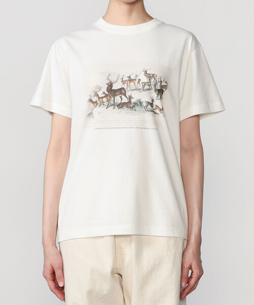 Bshop(ビショップ)の「History of Art | プリントTシャツ DEER WOMEN(Tシャツ/カットソー・レディース・ホワイト系その他・S)」の8枚目の写真