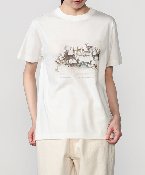 Bshop(ビショップ)の「History of Art | プリントTシャツ DEER WOMEN(Tシャツ/カットソー・レディース・ホワイト系その他・S)」の1枚目の写真