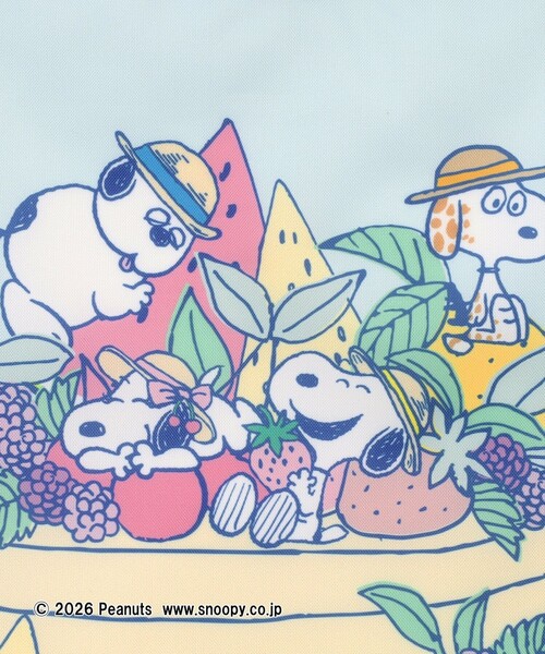 Afternoon Tea(アフタヌーンティー)の「保冷ショッピングラップバッグ/PEANUTS(エコバッグ/サブバッグ・レディース・ブルー・ONE SIZE)」の5枚目の写真