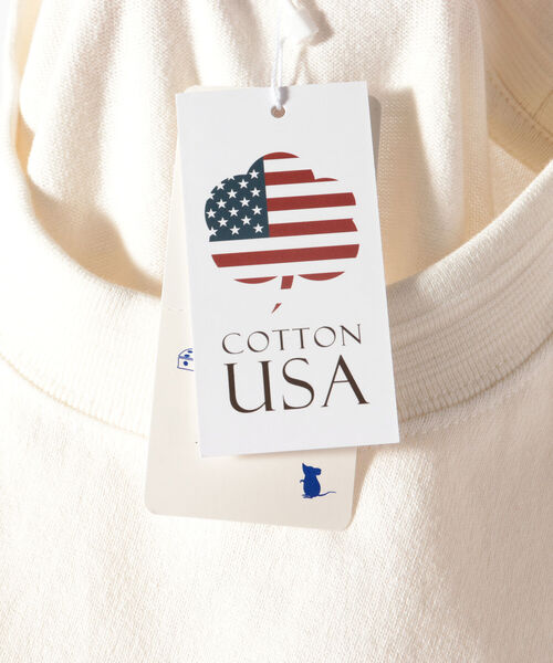 GLOSTER（グロスター）の「USAコットンタックリブTシャツ（Tシャツ/カットソー・メンズ・キナリ/サックスブルー/グリーン・MEDIUM/LARGE）」の21枚目の写真