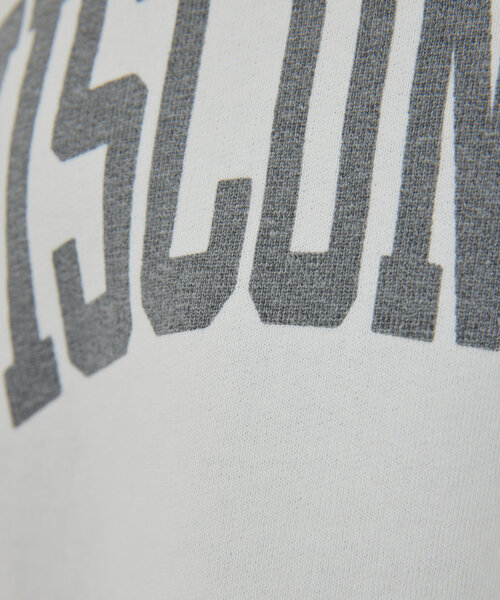 GALLARDAGALANTE(ガリャルダガランテ)の「【REMIRELIEF】ヴィンテージ風スウェット(パーカー・レディース・オフホワイト/グレー・MEDIUM)」の15枚目の写真