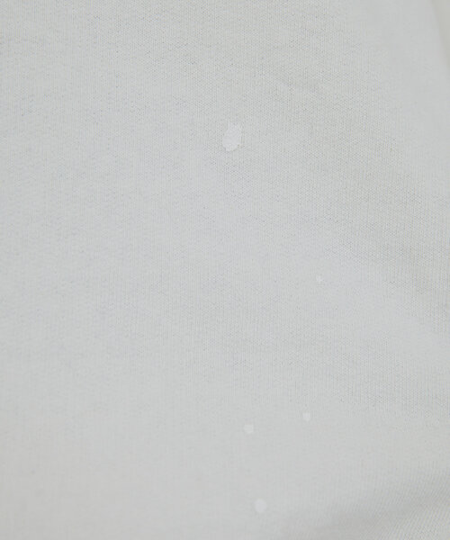 GALLARDAGALANTE(ガリャルダガランテ)の「【REMIRELIEF】ヴィンテージ風スウェット(パーカー・レディース・オフホワイト/グレー・MEDIUM)」の16枚目の写真