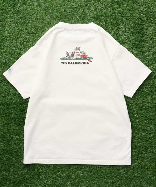 The Endless Summer(エンドレスサマー)の「TES 4BUHI NIKKO T-SHIRT / Tシャツ(Tシャツ/カットソー・メンズ・ピンク/ホワイト/ライトグレー/アイボリー・XX-LARGE/X-LARGE/LARGE/MEDIUM/SMALL)」の7枚目の写真