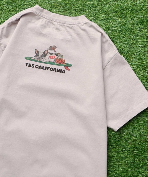 【はこぽす対応商品】 TES 4BUHI NIKKO T-SHIRT / Tシャツ（Tシャツ/カットソー）｜The トップス