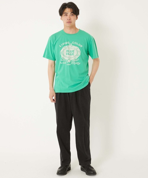 BLUE BLUE(ブルーブルー)の「HT400 SEAL ショートスリーブ Tシャツ(Tシャツ/カットソー・メンズ・ホワイト/ライトグリーン・SMALL/MEDIUM/LARGE/X-LARGE)」の15枚目の写真