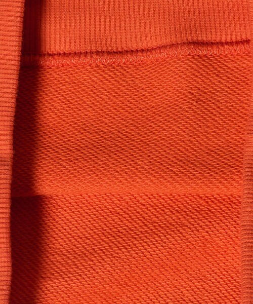 Champion（チャンピオン）の「＜Champion＞クルーネック スウェットシャツ  / トレーナー / キッズ 110cm-130cm（スウェット・キッズ・オレンジ/ナチュラル/ブラック・130cm/120cm/110cm）」の14枚目の写真