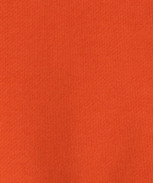 Champion（チャンピオン）の「＜Champion＞クルーネック スウェットシャツ  / トレーナー / キッズ 110cm-130cm（スウェット・キッズ・オレンジ/ナチュラル/ブラック・130cm/120cm/110cm）」の15枚目の写真