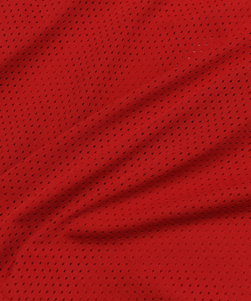 PHYPS MOTORCYCLE(フィップスモーターサイクル)の「Original Wing logo Mesh Long Sleeve Red(Tシャツ/カットソー・レディース・その他・SMALL/MEDIUM/LARGE/X-LARGE)」の9枚目の写真