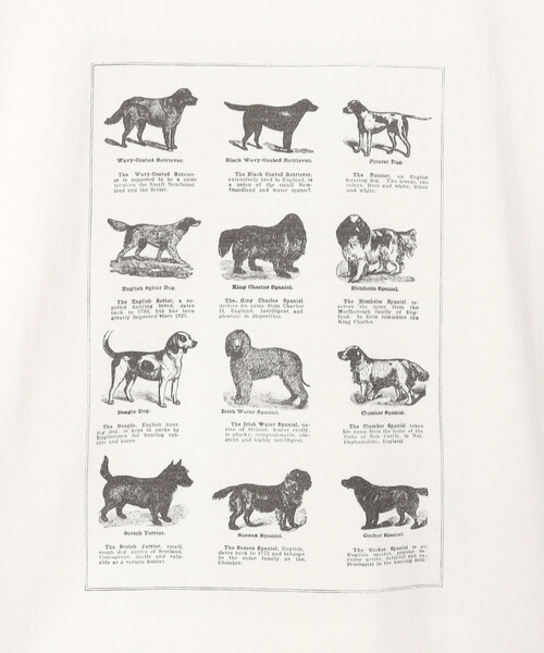 Bshop(ビショップ)の「History of Art | プリントTシャツ DOG WOMEN(Tシャツ/カットソー・レディース・ホワイト系その他・S)」の7枚目の写真