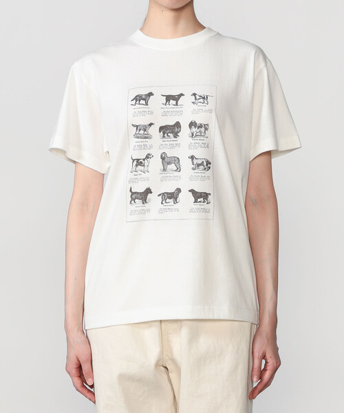 Bshop(ビショップ)の「History of Art | プリントTシャツ DOG WOMEN(Tシャツ/カットソー・レディース・ホワイト系その他・S)」の8枚目の写真
