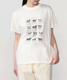 History of Art | プリントTシャツ DOG WOMEN