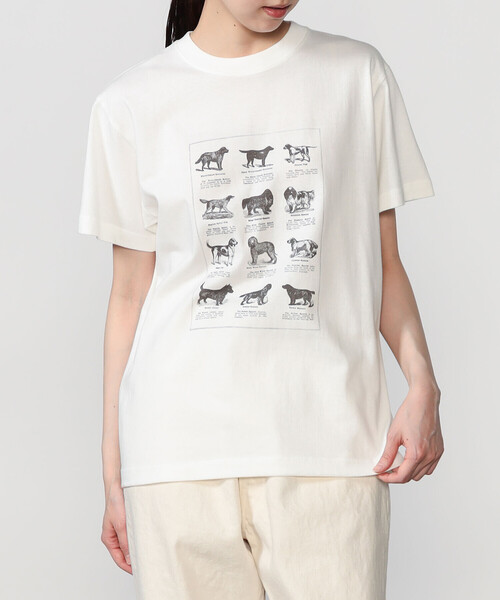 Bshop(ビショップ)の「History of Art | プリントTシャツ DOG WOMEN(Tシャツ/カットソー・レディース・ホワイト系その他・S)」の1枚目の写真