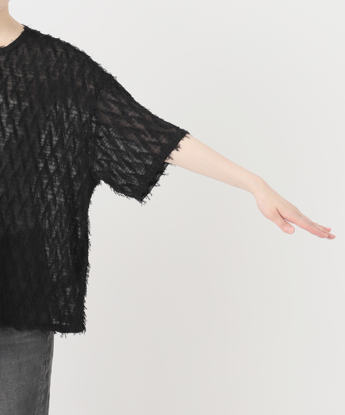 JOURNAL STANDARD relume(ジャーナルスタンダード レリューム)の「シアーカットジャガードTブラウス(シャツ/ブラウス・レディース・ベージュ/ブラック・FREE)」の9枚目の写真