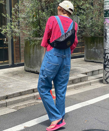 ALDIES | Mini Waist Bag / ミニウエストバッグ(ボディバッグ/ウエストポーチ)