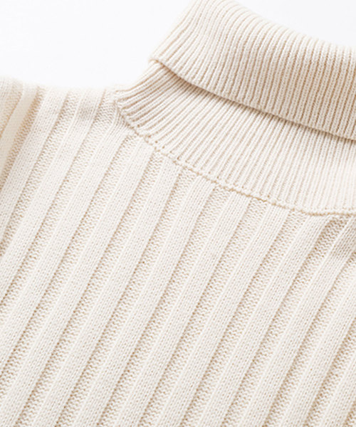 SAISON DE PAPILLON（セゾンドパピヨン）の「ハイネックシンプルリブニットトップス（ニット/セーター・レディース・ベージュ/ネイビー/キャメル・M/L）」の9枚目の写真