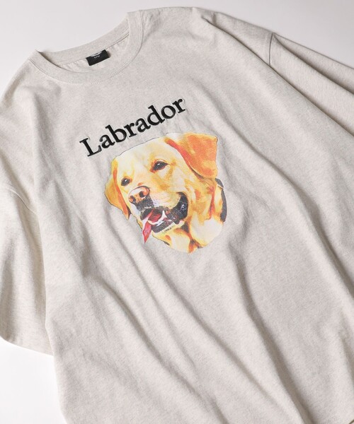 Web限定 ビッグシルエット フロント刺繍 アニマルプリントtシャツ Labrador ラブラドール Dog 犬 Tシャツ カットソー Freak S Store フリークスストア のファッション通販 Zozotown Web限定 ビッグシルエット フロント刺繍 アニマルプリントtシャツ Labrador ラブラドール Dog 犬 Tシャツ カットソー Freak S Store フリークスストア のファッション通販 Zozotown