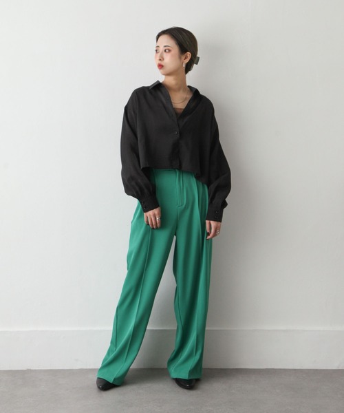 Chillfar(チルファー)の「ショート丈シアーシャツ(シャツ/ブラウス・レディース・ホワイト/グリーン/ピンク/ブルー/ブラック/グレイッシュベージュ・MEDIUM/LARGE)」の19枚目の写真