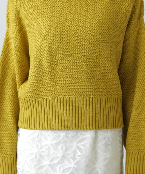 FREE'S MART（フリーズマート）の「鹿の子編みハイネックニット（ニット/セーター・レディース・ブルー系その他/イエロー/ホワイト/グレー・FREE）」の16枚目の写真