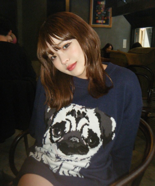 shesame(シーセム)の「jacquard dog knit(ニット/セーター・レディース・アイボリー/ブラウン/ネイビー・LARGE/MEDIUM)」の3枚目の写真
