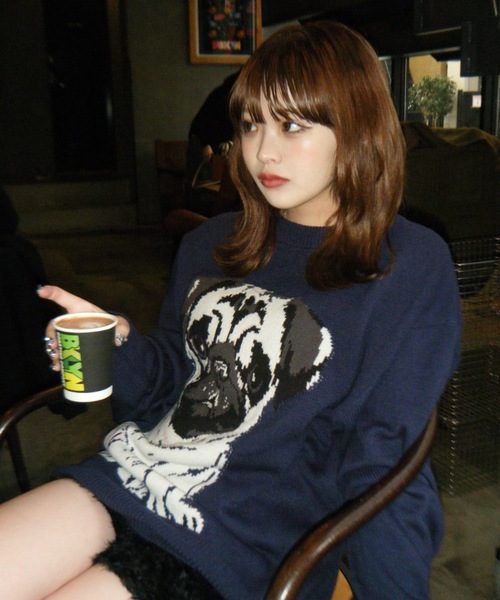 shesame(シーセム)の「jacquard dog knit(ニット/セーター・レディース・アイボリー/ブラウン/ネイビー・LARGE/MEDIUM)」の13枚目の写真