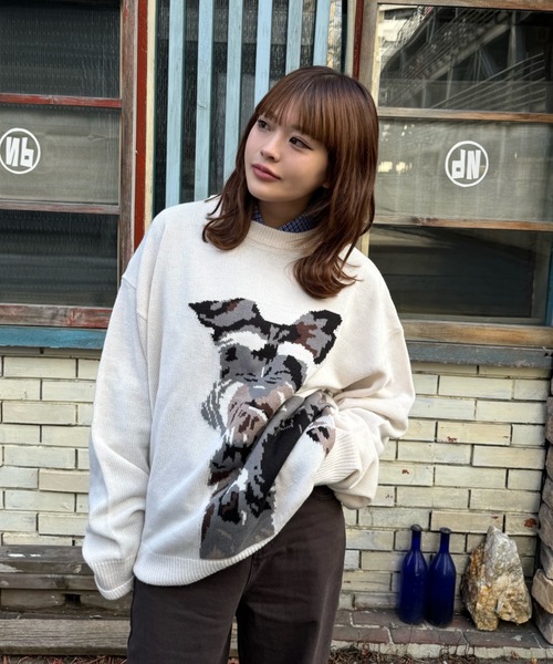 shesame(シーセム)の「jacquard dog knit(ニット/セーター・レディース・アイボリー/ブラウン/ネイビー・LARGE/MEDIUM)」の18枚目の写真