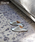 journal standard Furniture iW[iX^_[ht@j`[j́uJSF PLAIN SLIPPER MTCY@Xbpi[V[Y/XbpjvbVo[