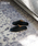 journal standard Furniture iW[iX^_[ht@j`[j́uJSF PLAIN SLIPPER MTCY@Xbpi[V[Y/XbpjvbubN