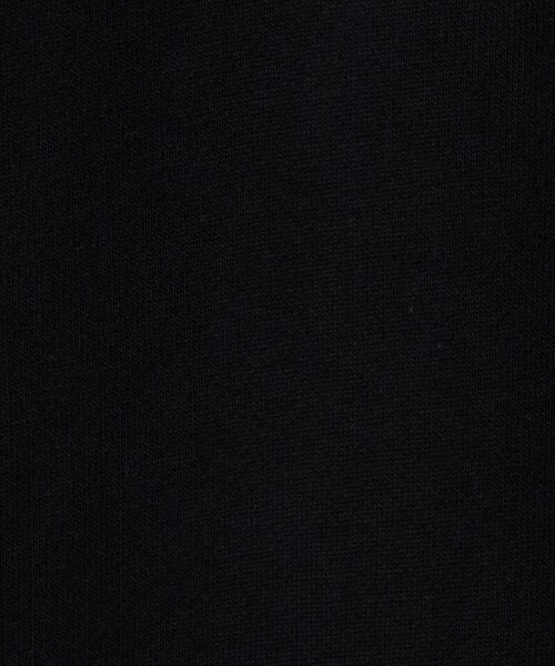 Champion（チャンピオン）の「＜Champion＞クルーネック スウェットシャツ  / トレーナー / キッズ 140cm-160cm（スウェット・キッズ・オレンジ/ナチュラル/ブラック・150cm/160cm/140cm）」の20枚目の写真