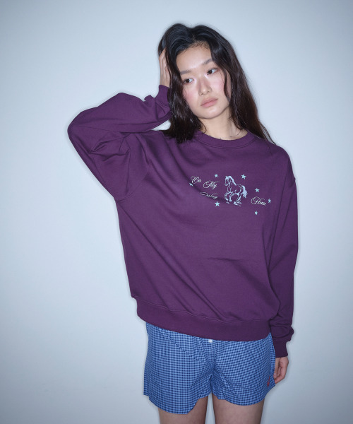 HOMEBODY THINGS（ホームバディ ティングズ）の「HBT Pony Sweatshirt (PURPLE)（スウェット・レディース・その他・FREE）」の6枚目の写真