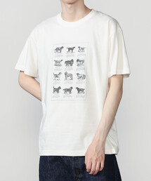 Bshop | History of Art | プリントTシャツ DOG MEN(Tシャツ/カットソー)