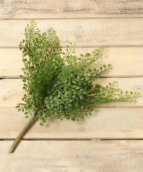 Niko And ニコアンド の フェイクグリーン アジアンタム インテリア雑貨 Wear